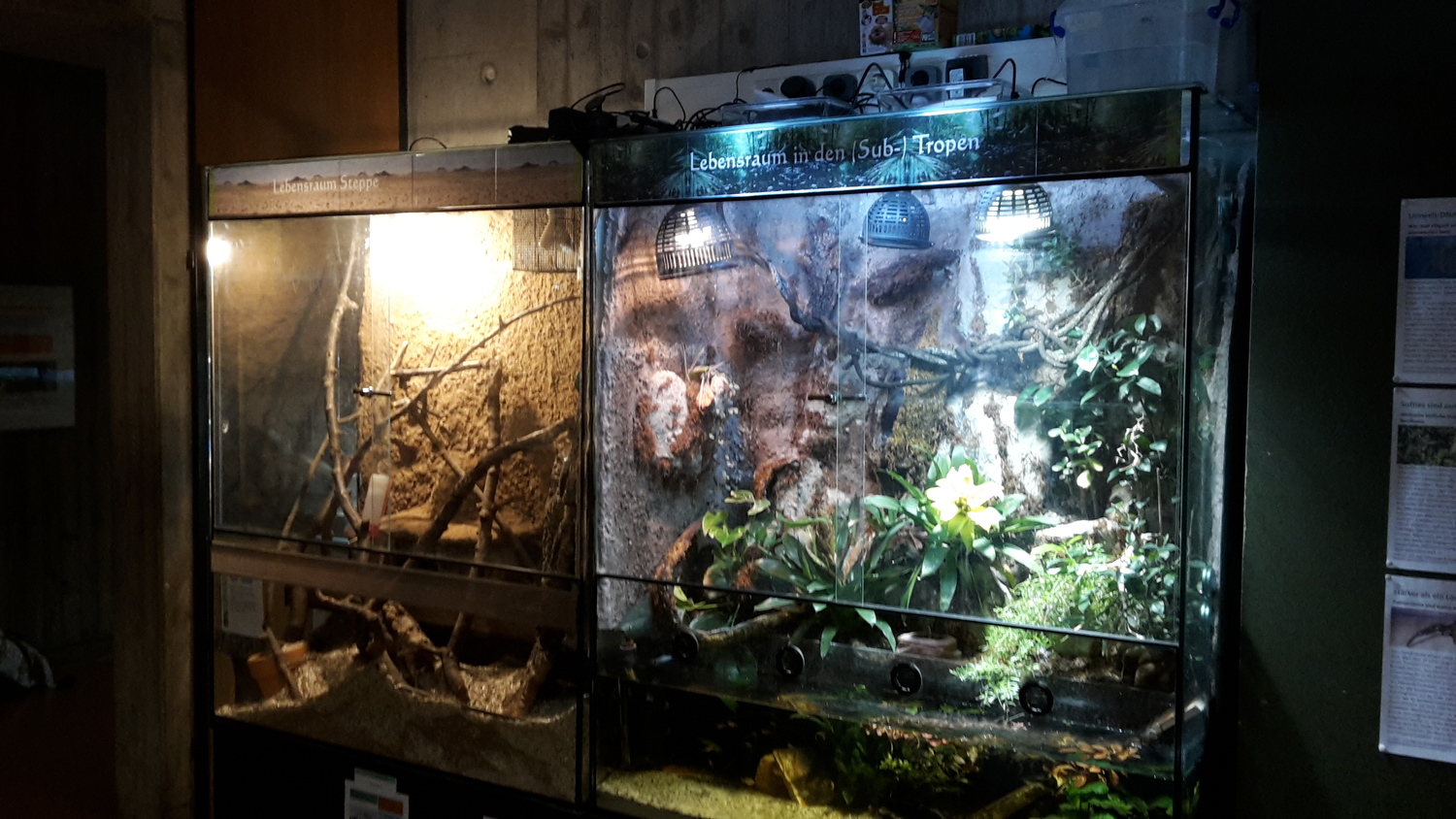 terrarien.jpg