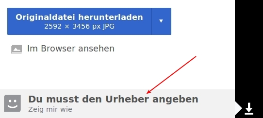 wikipedia_artikel_zitieren_2.jpg